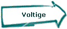 Voltige