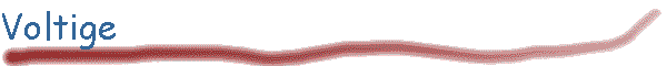 Voltige